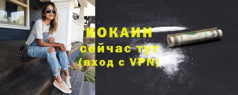 Cocaine Эквадор  купить закладку  Заволжск 